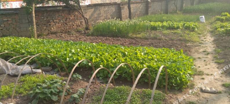 信阳鸡公山喜客多快捷酒店图片