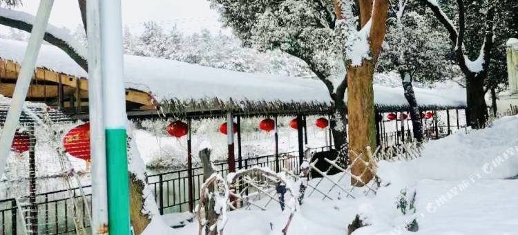 长兴俺家大院民宿图片