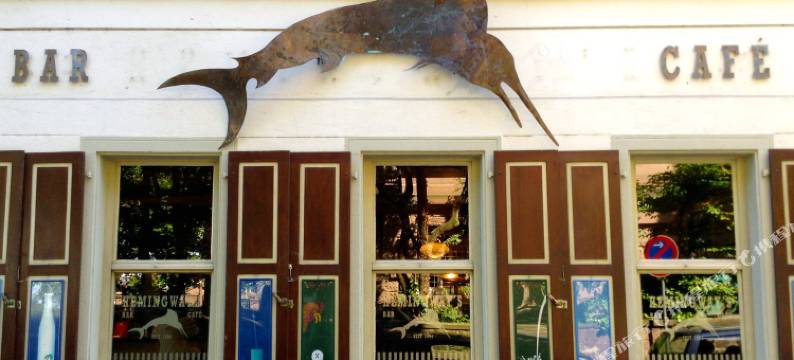 海德堡海明威青年旅舍(Hemingway`s Heidelberg Hostel)图片