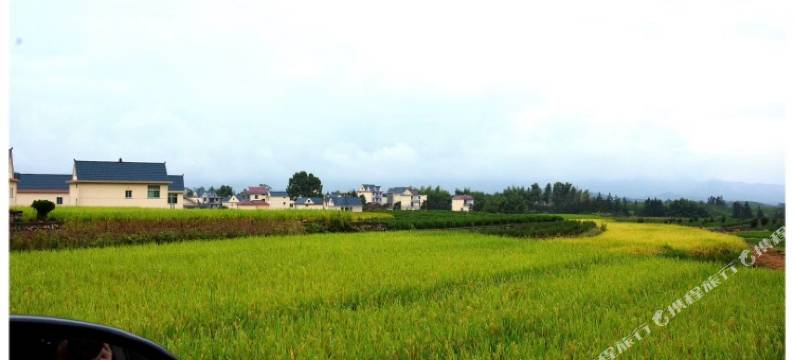 莫干山境舍酒店图片