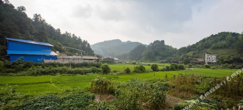 洞口金叶瑶家民宿图片