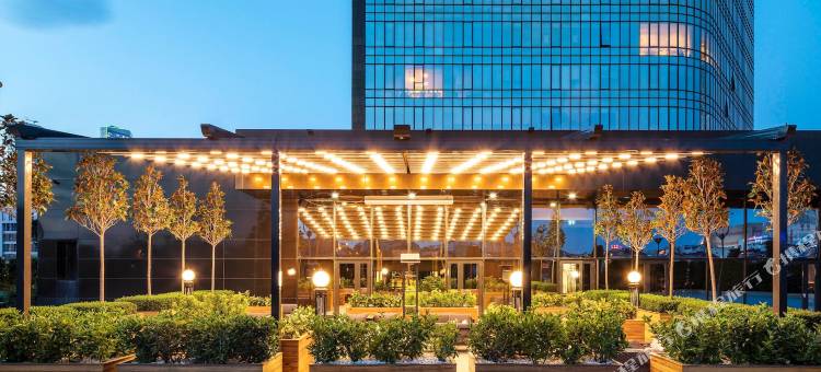 伊斯坦布尔-阿塔瑟希尔喜来登大酒店(Sheraton Grand Istanbul Atasehir)图片