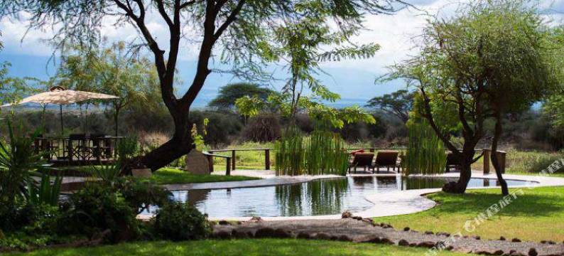 塔威山林小屋(Tawi Lodge)图片