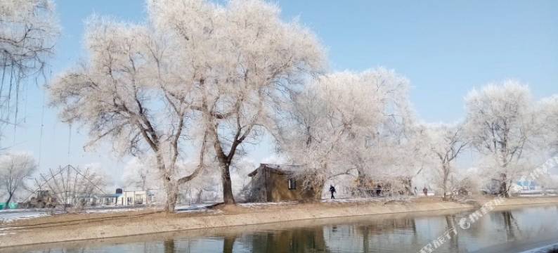 珍宏客栈(雾凇岛景区店)图片