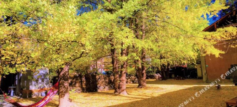 腾冲肖荣农家乐图片