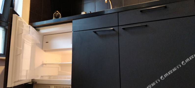 丽瑟精品套房 - 库肯霍夫(Boutique Suites Lisse - Keukenhof)图片