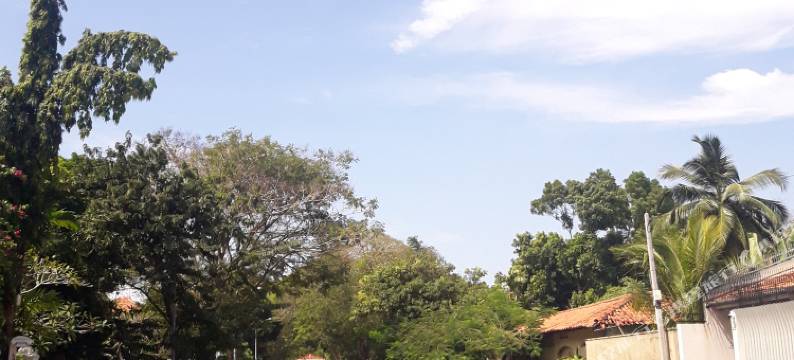 派柏帕提太太酒店(MRS Pepperpots)图片