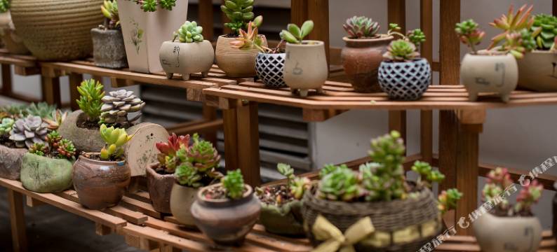 泸州熊猫酒店(水井沟珠子街店)图片