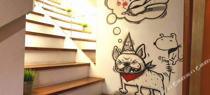 垦丁Mr.Rabbit图片