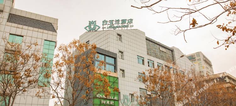 白玉兰酒店(济宁运河城店)图片