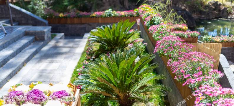 丽江花境燕语美墅图片