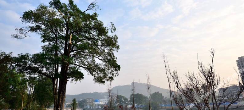 广州溪西居温泉民宿图片
