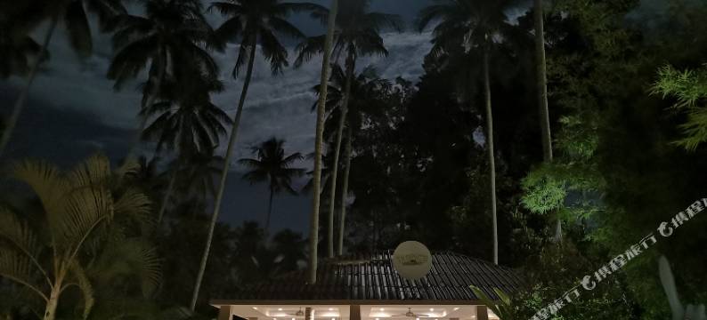 迈向休闲度假村(Hacia Leisure Resort)图片