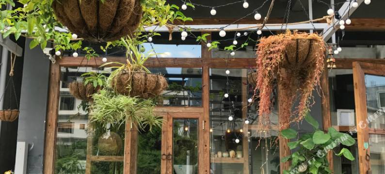 阳朔三十度灰青年旅舍(兴坪古镇店)图片