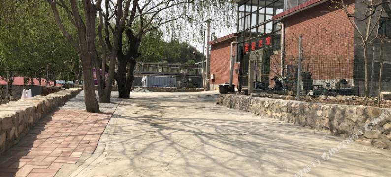 天津迎君农家院图片
