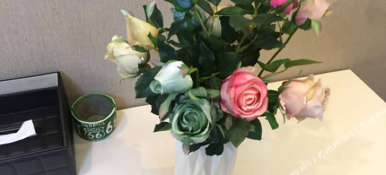 南京都市月光酒店公寓图片