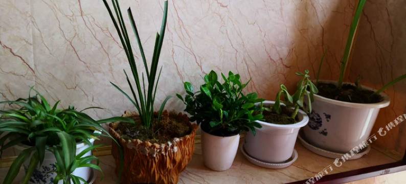 重庆月半湾商务宾馆图片