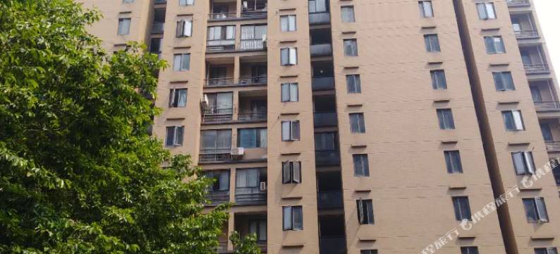 杭州春天见图片