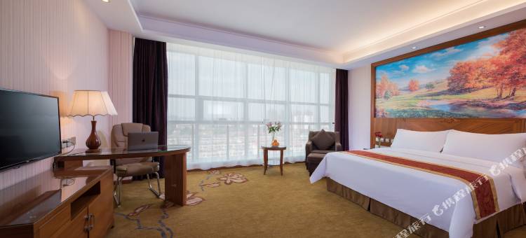 维也纳国际酒店(通辽科尔沁店)图片