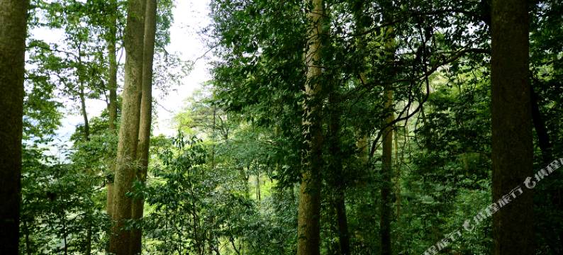 青城山道教圆明宫客栈图片