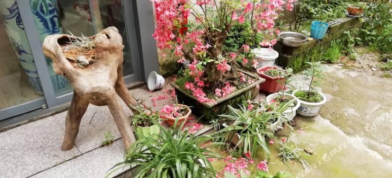 黄山须臾栖谷45号概念民宿图片