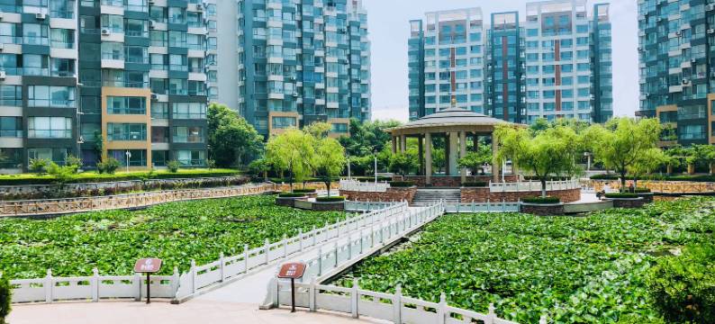 龙口四海有家民宿图片