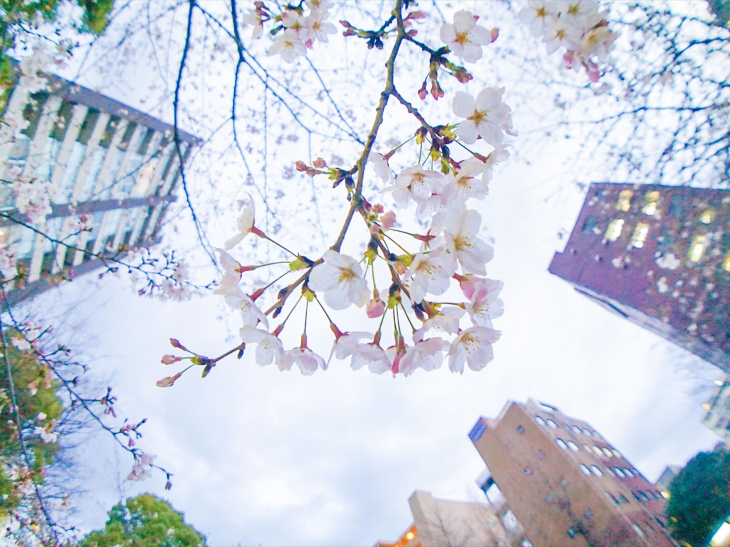 Henn na Hotel Tokyo GinzaOver view