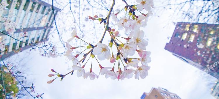 海茵娜酒店东京银座(Henn na Hotel Tokyo Ginza)图片