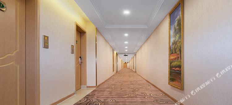 维也纳3好酒店(霍山店)图片