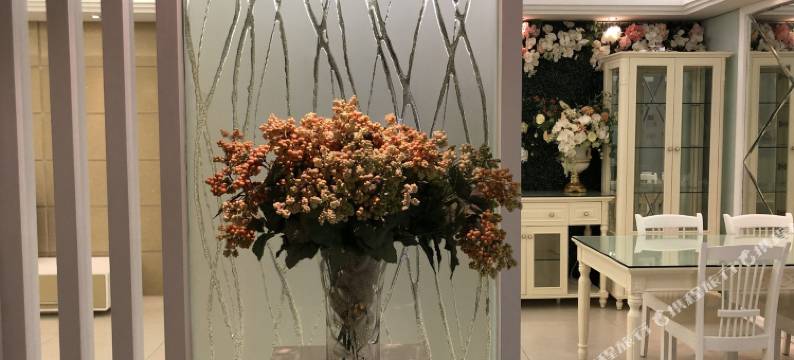 汕头星旅家汕头公寓(13号店)图片