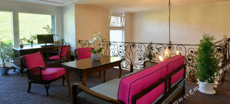 里宾霍夫酒店(Hotel Rebenhof)图片