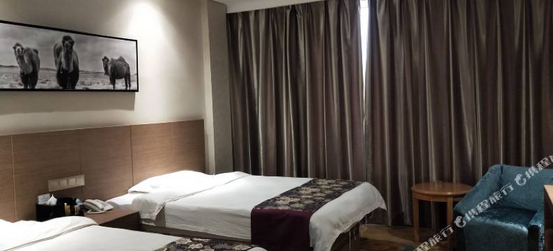 阿拉善右旗梧桐海精品酒店图片