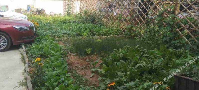 涞源金龙山庄图片