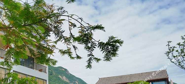 栾川拾光二十度民宿图片