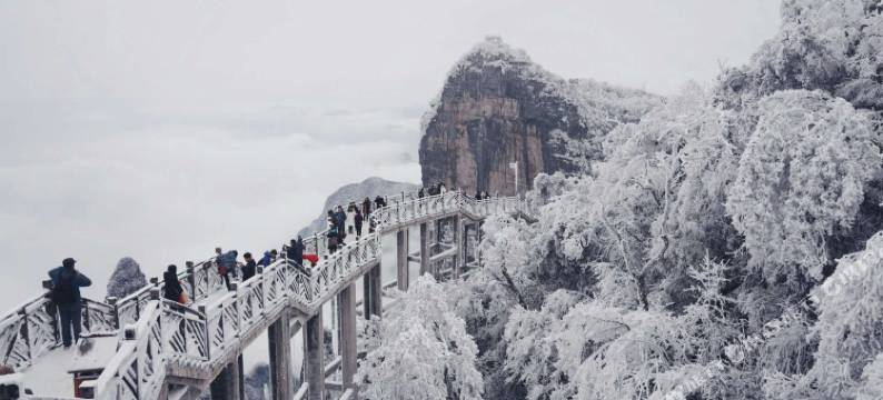 张家界安谷象屋客栈图片