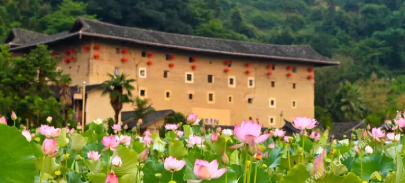 云水谣老四合院·1949民宿图片