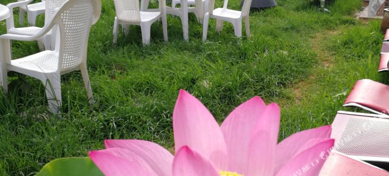 青岛自由行山海间(崂山景区店)图片