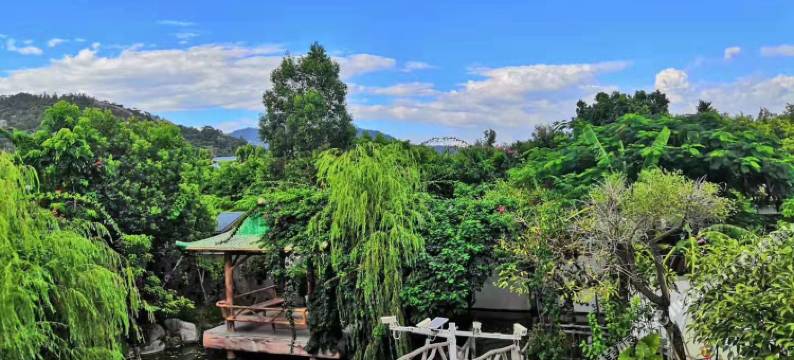 厦门野士部落图片