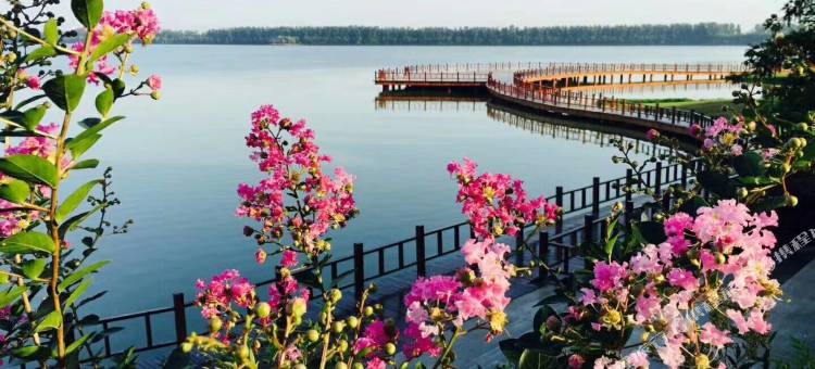 钟祥润德大饭店图片