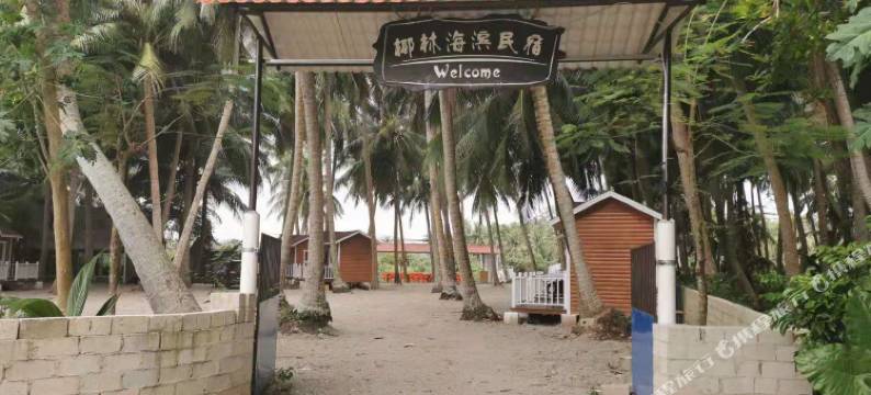 琼海椰林海滨民宿图片