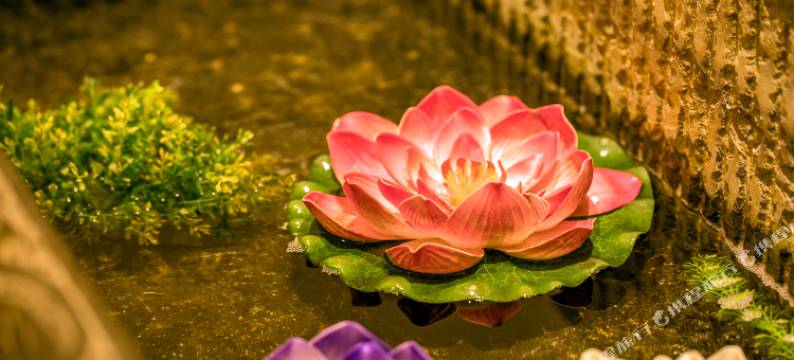 西姆清居成都春熙路太古里酒店图片