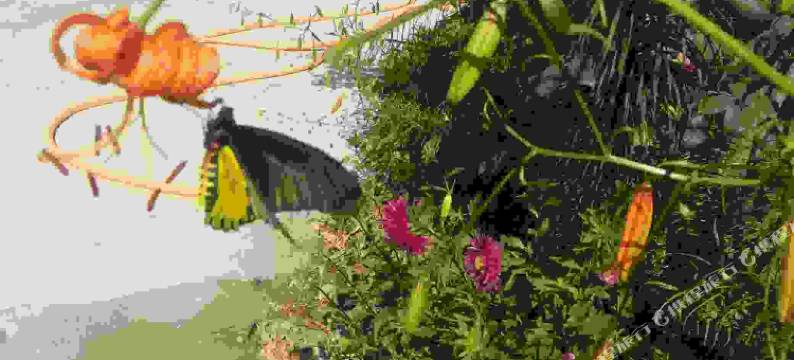 白云山金水湾农家乐图片