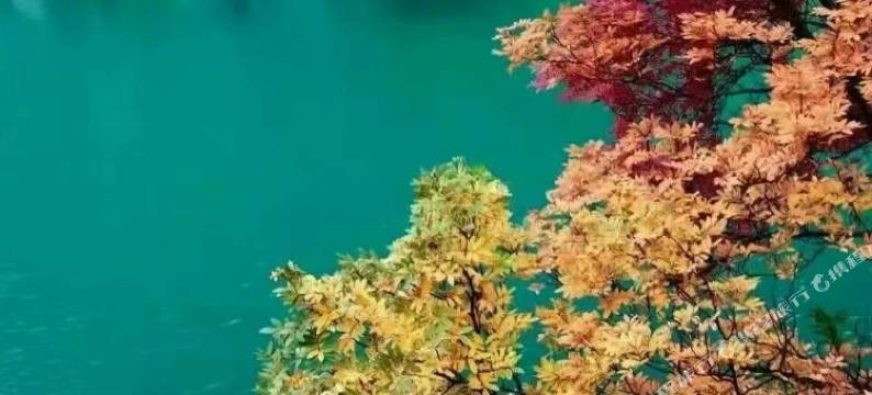 松坪沟汕荟林园客栈图片