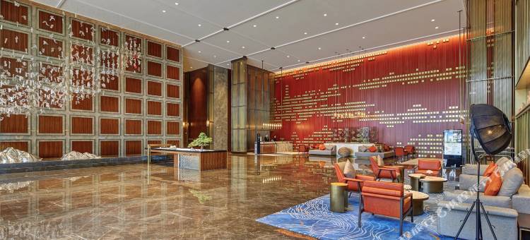 惠州佳兆业铂尔曼酒店图片