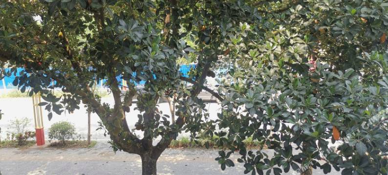 耿马诚洁宾馆图片