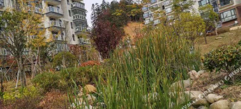 英山隐上酒店图片