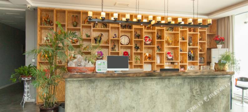 OYO洛阳乐途青年酒店图片