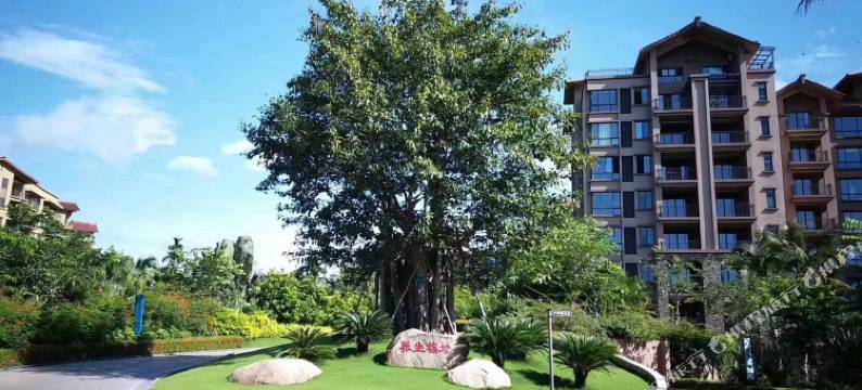 万宁半吕先生家的小院图片