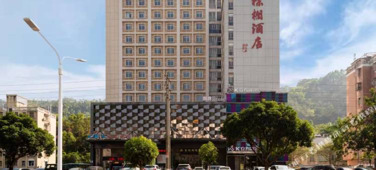 珠海金棕榈酒店图片