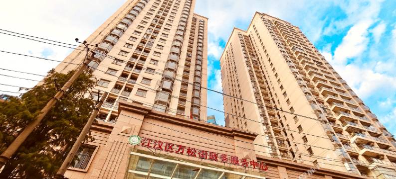 唯爱情侣公寓(武汉万松园店)图片